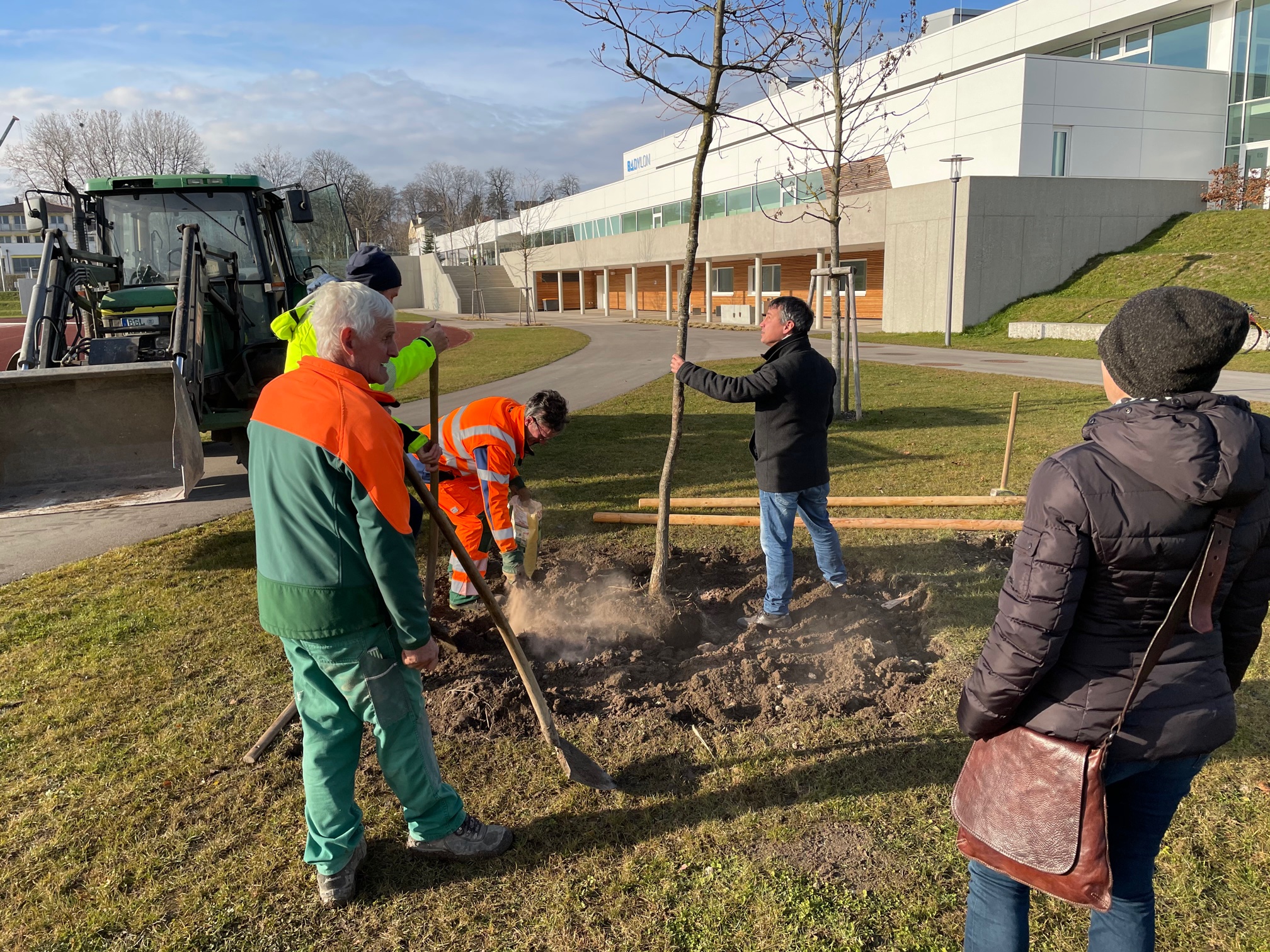 Bürgermeister Markus Hiebl pflanzt die gespendete Traubeneiche
