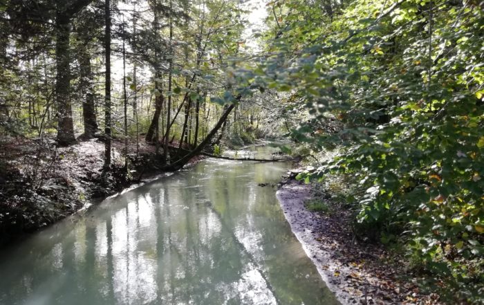 Markus Hiebl | unabhängiger Bürgermeisterkandidat - Die Freilassinger Au ist schon von dem Klimawandel betroffen